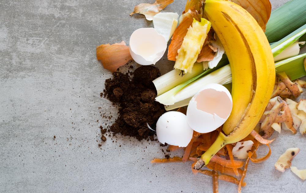 Guia de Refatoração Alimentar: Aproveitamento Integral de Recursos