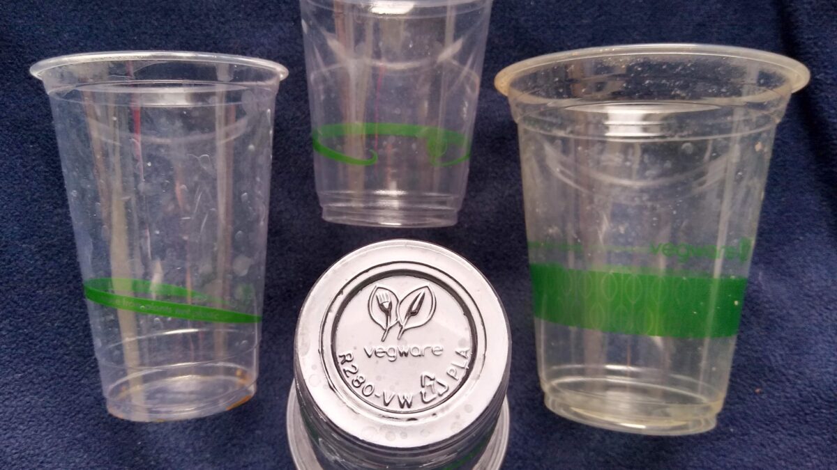 Debugging do Bioplástico: Biodegradável vs. Compostável