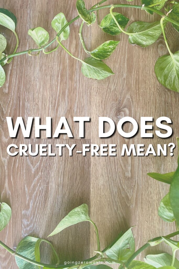 What Does Cruelty-Free Mean? +10 Ethical Brands