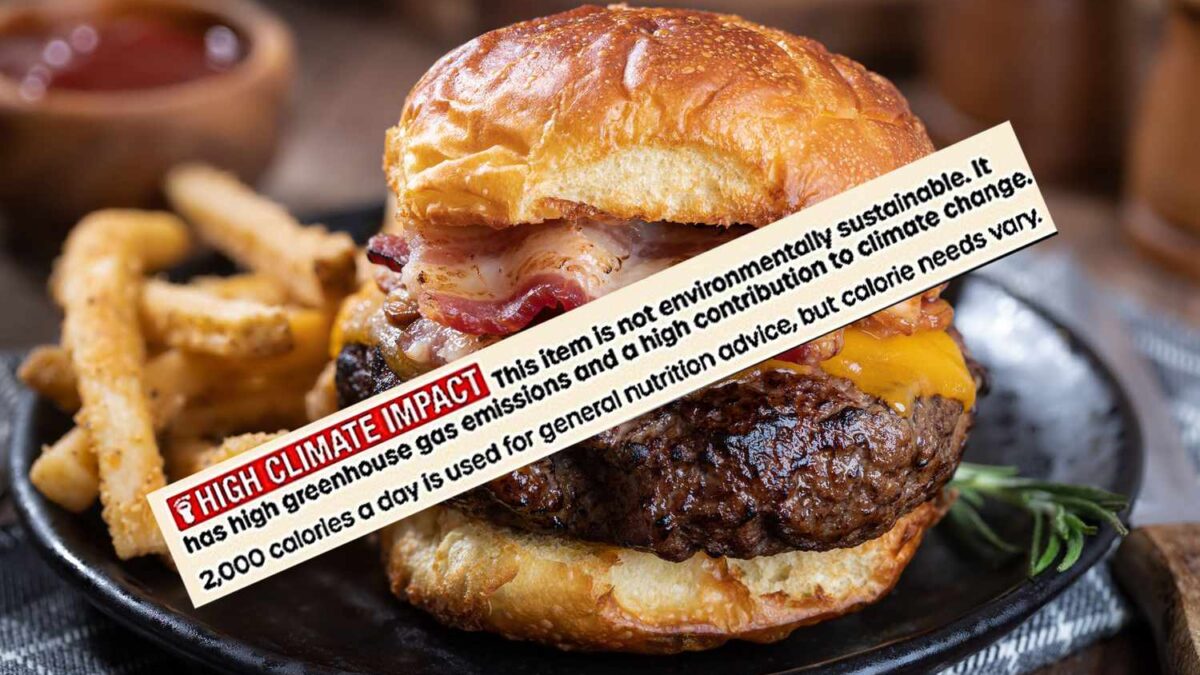 Debugging do Cardápio: Como Etiquetas de Carbono Otimizam Suas Escolhas